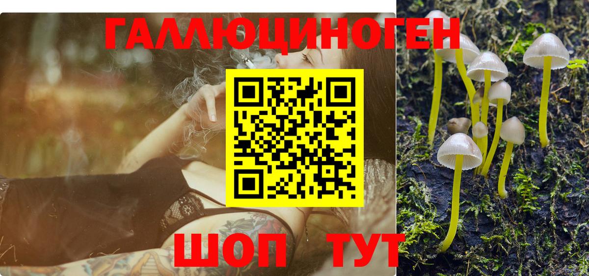 Донецк  Галлюциногенные грибы Psilocybe  Вход с VPN 